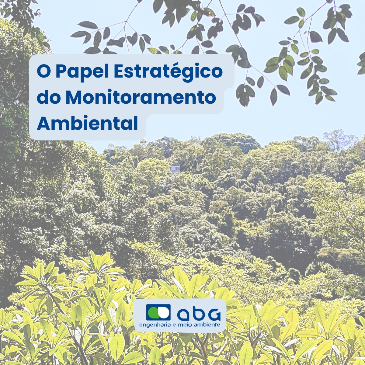 O papel estratégico do monitoramento ambiental