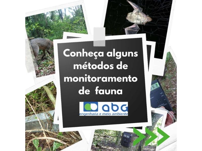 Monitoramento de Fauna no Processo de Licenciamento Ambiental