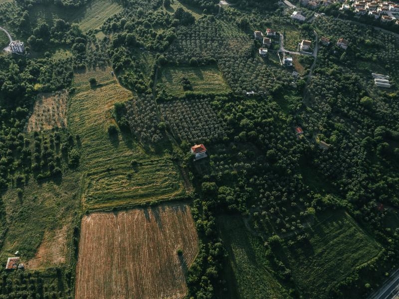 Estudo de Impacto Ambiental (EIA) e Relatório de Impacto Ambiental (RIMA)