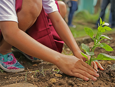 Educação Ambiental