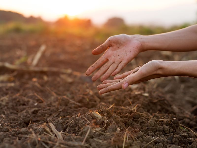 Monitoramento Ambiental dos Solos