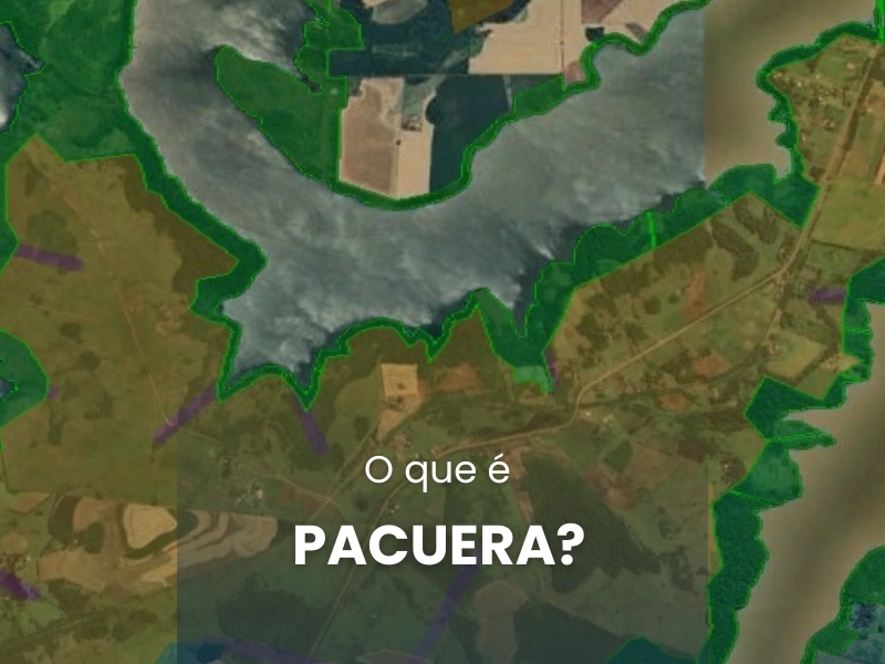 O que é Pacuera?